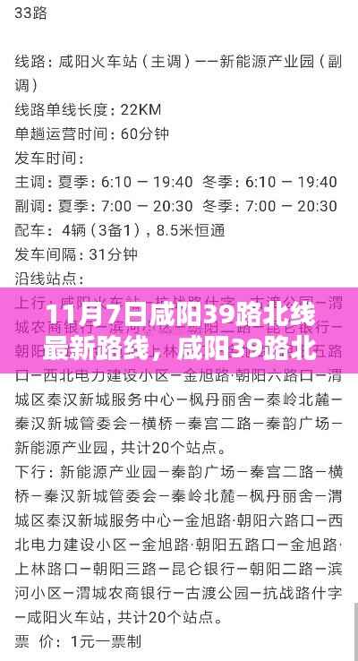 第1191页
