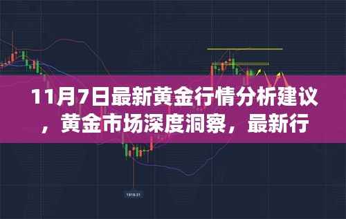 黄金市场深度洞察,最新行情分析与投资建议(11月7日版)