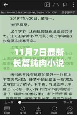 最新热门长篇纯肉小说推荐,深度测评与介绍