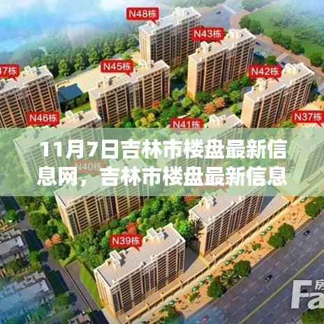 关于我们 第378页