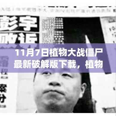 植物大战僵尸最新破解版下载,法律边缘的探讨与争议