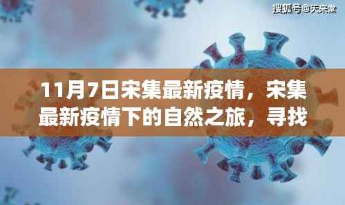 宋集最新疫情下的自然探索,内心宁静与欢笑的寻找之旅
