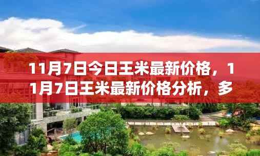 11月7日王米最新价格走势,多方观点交织的思考与分析