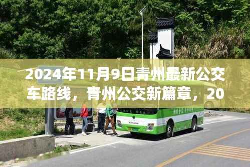 对答如流 第15页