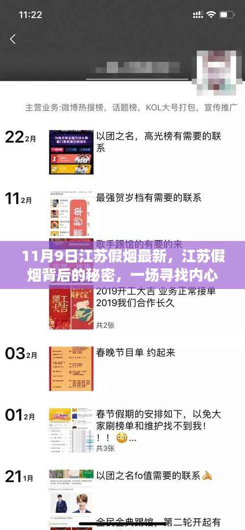 江苏假烟揭秘,探寻背后的秘密与内心平静的旅程