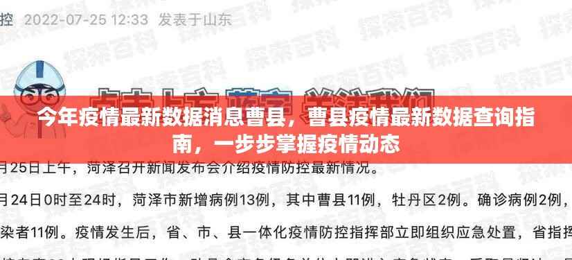 曹县疫情最新数据解读，一步步掌握今年疫情动态查询指南