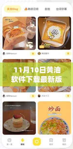 11月10日黄油软件最新版下载指南，功能亮点与操作详解