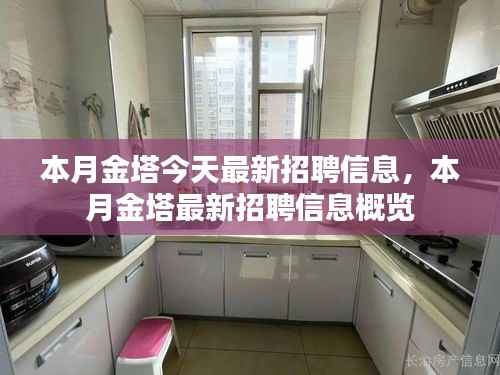 本月金塔最新招聘信息概览,今日招聘信息全解析