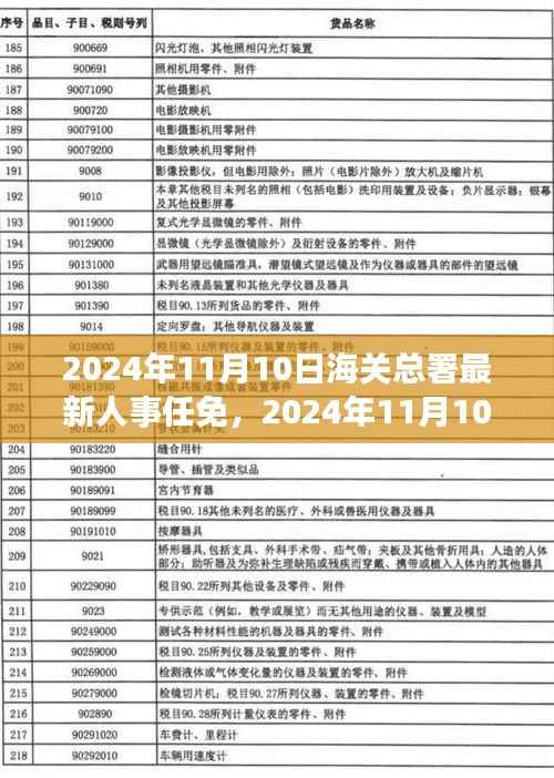 揭秘海关总署新任领导团队构成与期待,最新人事任免揭晓于2024年11月10日
