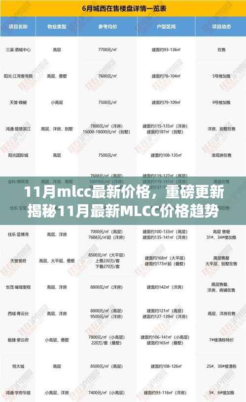 容光焕发 第14页