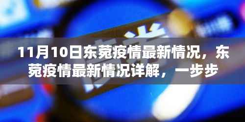 11月10日东菀疫情最新情况详解,了解与应对的步骤