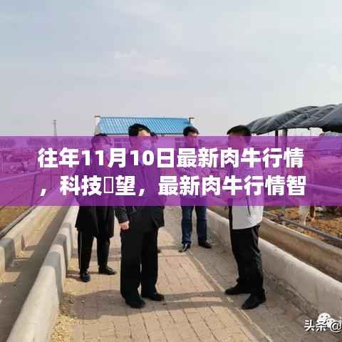 科技引领肉牛行情迈入智能时代,最新肉牛行情智能分析系统重磅发布