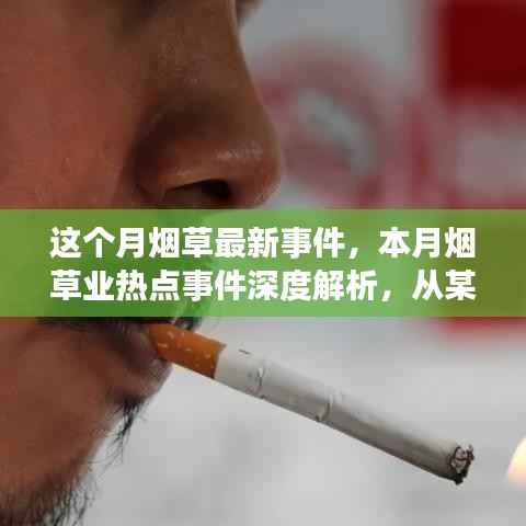 本月烟草业热点事件深度解析，从某某视角看挑战与影响