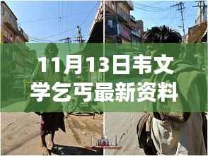 揭秘韦文学乞丐现象,最新资料探寻背后的故事与动态