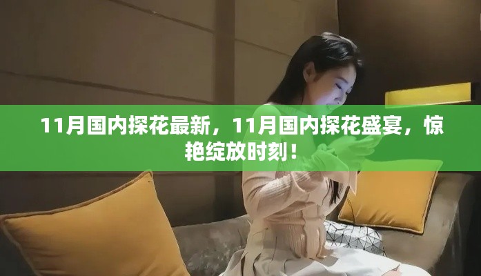 11月国内探花盛宴,惊艳绽放的探秘之旅
