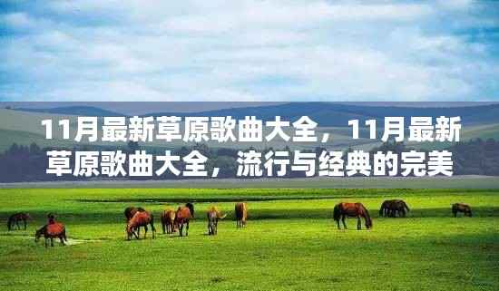 11月最新草原歌曲精选,流行与经典的完美融合