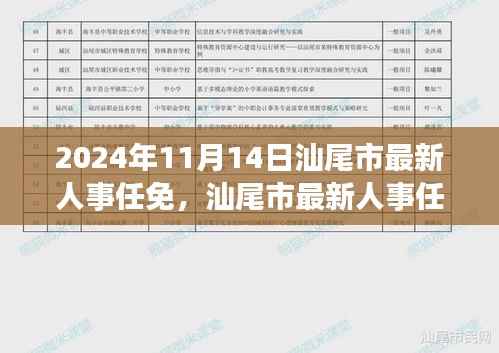 汕尾市人事任免最新动态,高效完成流程指南(附时间表和关键步骤)