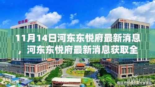 河东东悦府最新动态全攻略,掌握最新消息