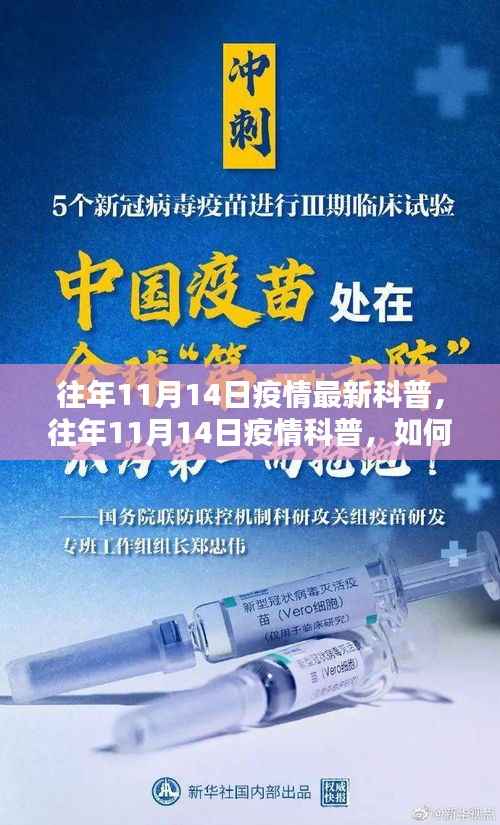 全方位指南,历年11月14日疫情科普,科学应对疫情——初学者与进阶用户的必备手册