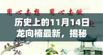 探寻传奇人物龙向楠，历史上的11月14日揭秘最新进展