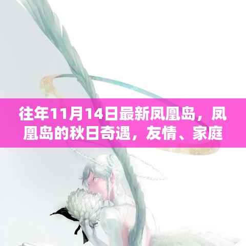 凤凰岛秋日奇遇,友情、家庭与温馨陪伴的节日