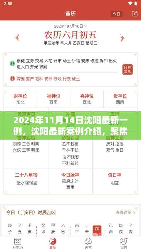 聚焦沈阳,最新案例介绍与独特产品评测(2024年11月14日)