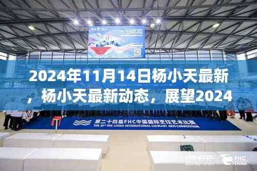 杨小天最新动态，展望2024年11月14日的非凡成就揭秘