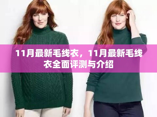 最新毛线衣时尚风潮,全面评测与介绍