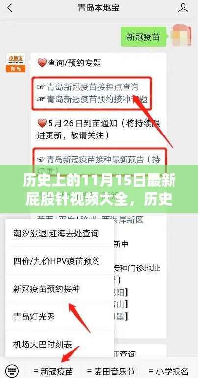 历史上的11月15日,屁股针视频的时代印记与最新集锦全呈现