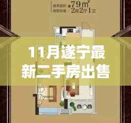 遂宁二手房购买全攻略,从入门到成交的详细步骤指南(适合初学者与进阶用户)