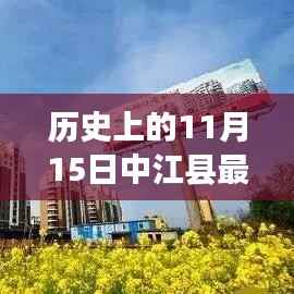 历史上的11月15日中江县房价深度解析与最新变迁概览