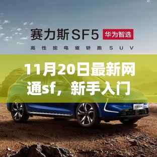 新手攻略手册,最新网通SF入门指南,手把手教你完成任务