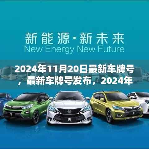最新车牌号发布,2024年11月20日的思考及车牌号一览