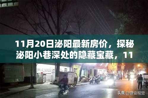 11月20日泌阳最新房价,探秘泌阳小巷深处的隐藏宝藏,11月最新房价与一家特色小店的独特风情