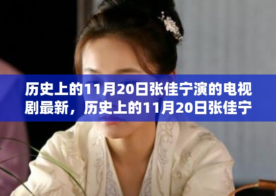 张佳宁电视剧最新篇章,深度评测与介绍——11月20日历史演绎回顾