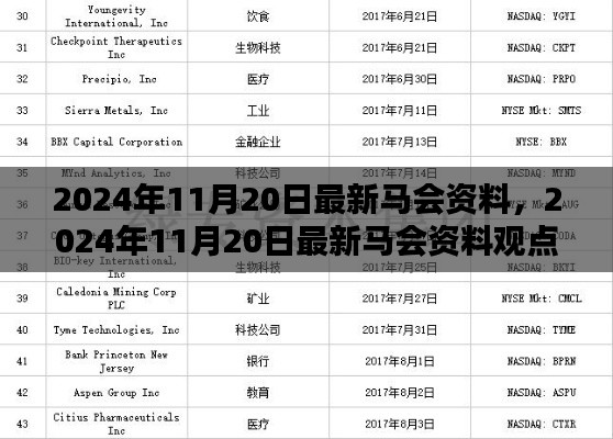 2024年11月20日最新马会资料,2024年11月20日最新马会资料观点论述