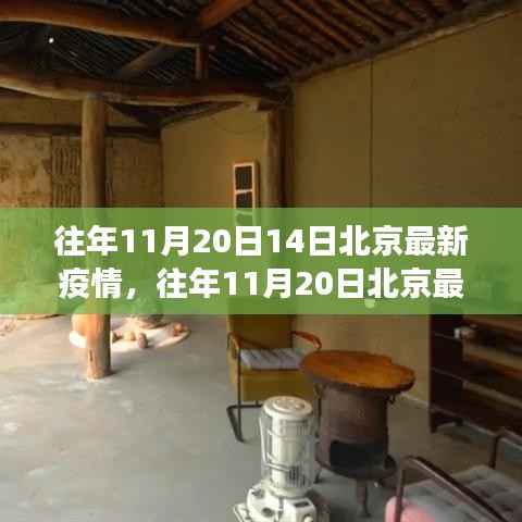 往年11月20日北京疫情最新动态分析与深度解读