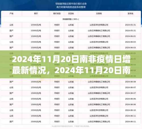 南非疫情最新动态,全面解析与前沿观察(2024年11月20日)