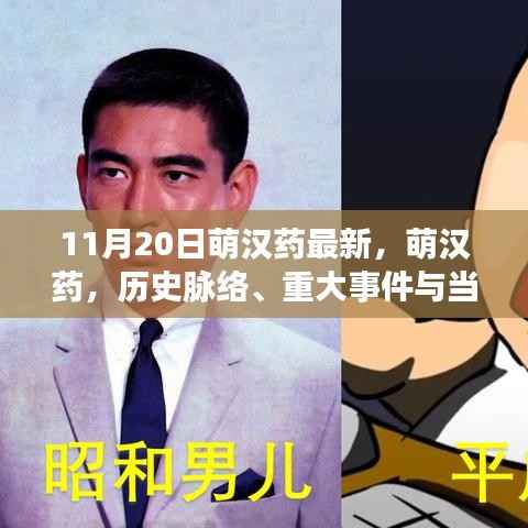 11月20日萌汉药最新,萌汉药,历史脉络、重大事件与当代影响力