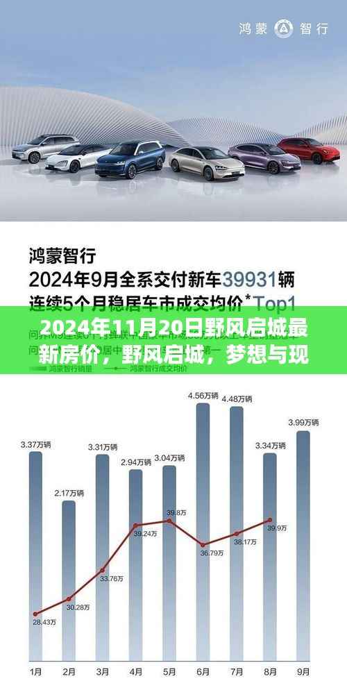 2024年11月20日野风启城最新房价,野风启城,梦想与现实交汇之地——2024年11月20日最新房价背后的励志故事