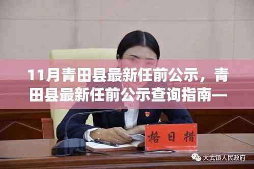 青田县最新任前公示详解,查询指南与流程步骤