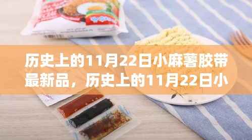 历史上的11月22日小麻薯胶带新品制作指南,从入门到精通的全攻略