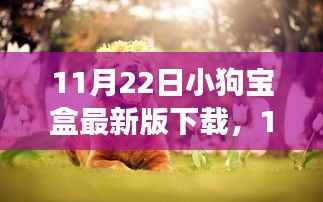11月22日小狗宝盒最新版下载,11月22日小狗宝盒最新版下载攻略,体验全新功能与特色