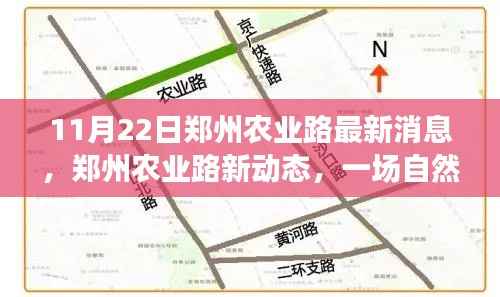 11月22日郑州农业路最新消息,郑州农业路新动态,一场自然美景的探索之旅,寻找内心的平和与宁静