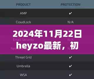 Heyzo新功能使用指南,初学者与进阶用户必备技能,掌握核心操作