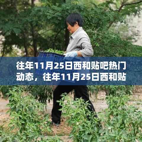 往年11月25日西和贴吧热门动态回顾,网络焦点瞬间汇聚的浪潮