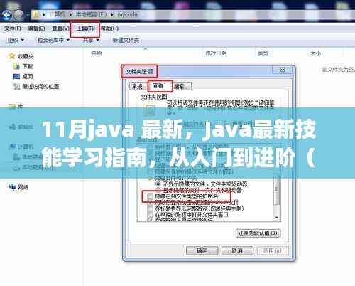 Java最新技能学习指南,从入门到进阶,掌握Java最新技能(11月版)