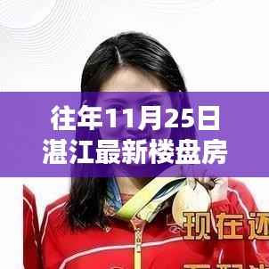 往年11月25日湛江最新楼盘房价,在湛江,家的温暖与房价的奇妙缘分