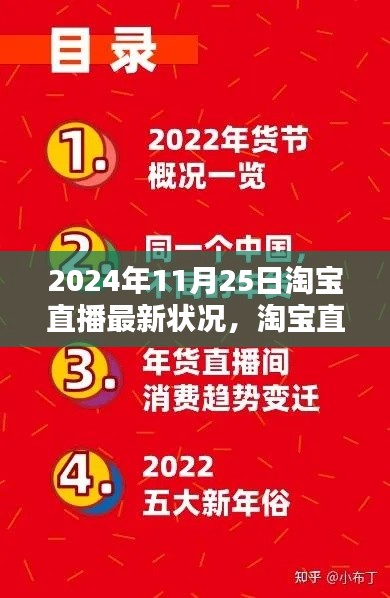 淘宝直播新手指南,详解2024年11月25日淘宝直播最新状况