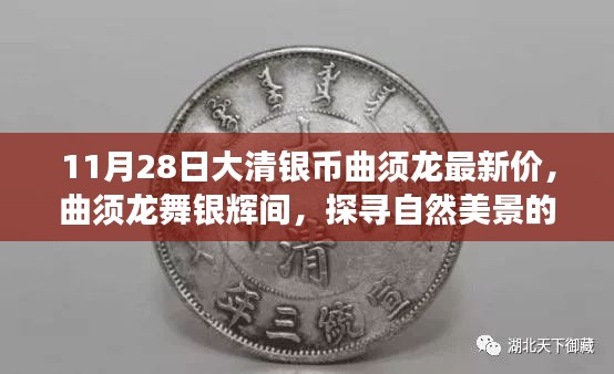 探寻自然美景的治愈之旅,揭秘曲须龙大清银币最新价值背后的故事